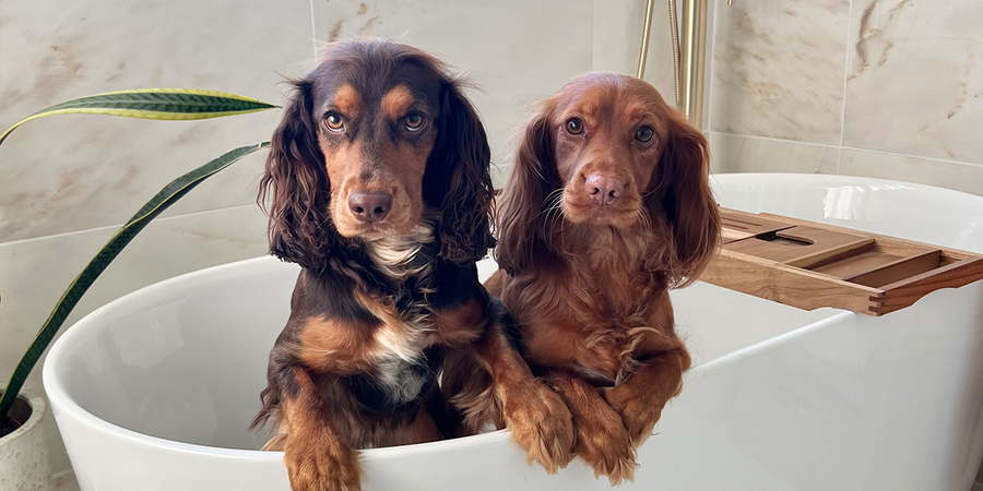 Customer Stories: Caroline’s Bali-Inspired Bathroom