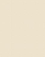 Picture of Tilemaster Grout3000 - Wide Joint Grout - Jasmin