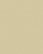 Picture of Tilemaster Grout3000 - Wide Joint Grout - Sandstone