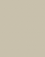 Picture of Tilemaster Grout3000 - Wide Joint Grout - Almond