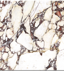 Picture of Calacatta Viola Nouveaux  Matte Marble Effect Porcelain Tiles