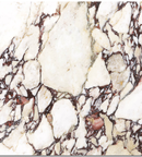 Picture of Calacatta Viola Nouveaux  Matte Marble Effect Porcelain Tiles